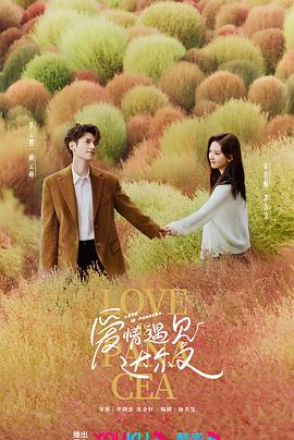 邹平网站seo优化